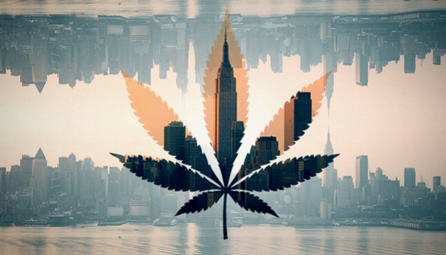 Il mercato della cannabis a New York diventerà il più importante degli Stati Uniti