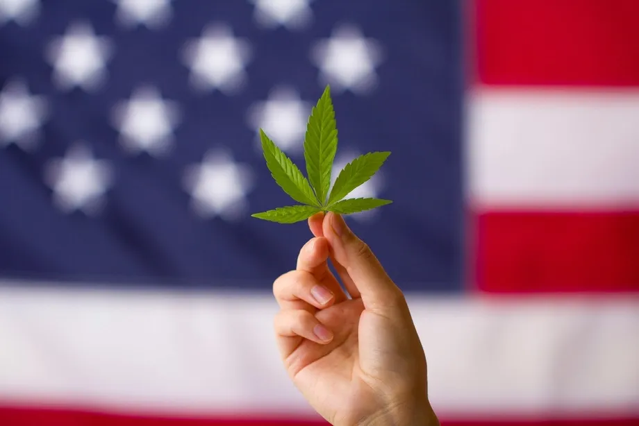 È legale vendere la cannabis a New York negli USA?